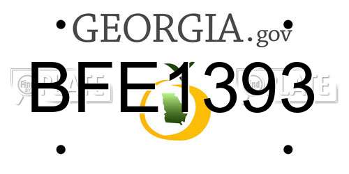 BFE1393 Georgia License Plate