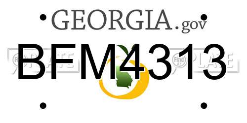 BFM4313 Georgia License Plate