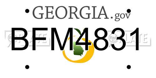 BFM4831 Georgia License Plate