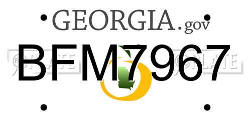 BFM7967 Georgia License Plate