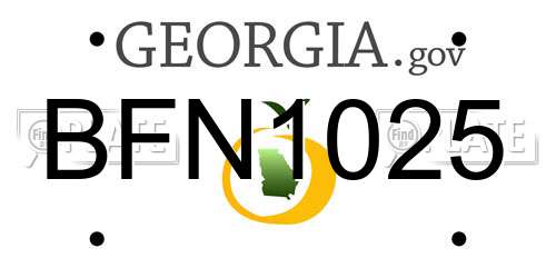 BFN1025 Georgia License Plate
