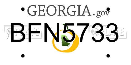 BFN5733 Georgia License Plate