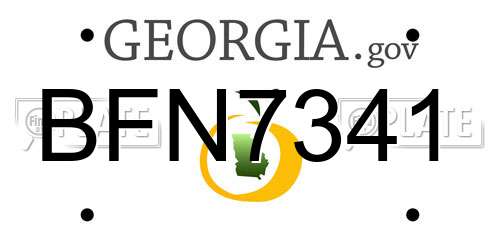 BFN7341 Georgia License Plate