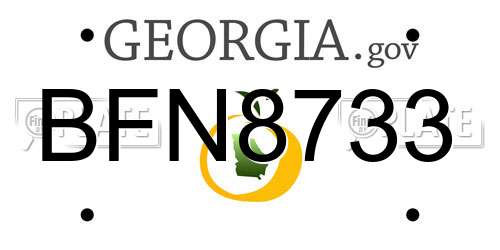 BFN8733 Georgia License Plate