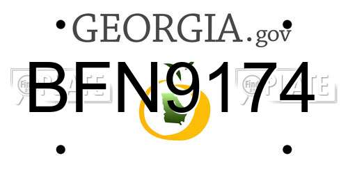 BFN9174 Georgia License Plate
