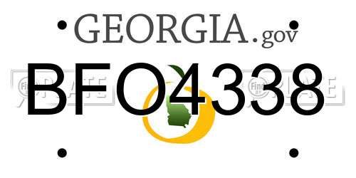 BFO4338 Georgia License Plate