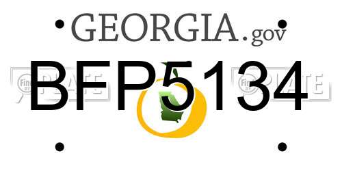 BFP5134 Georgia License Plate