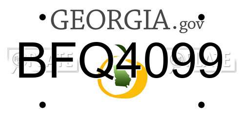 BFQ4099 Georgia License Plate