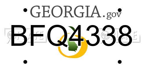 BFQ4338 Georgia License Plate