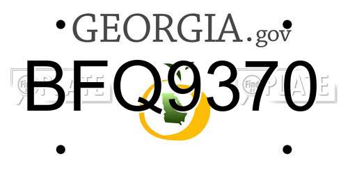 BFQ9370 Georgia License Plate