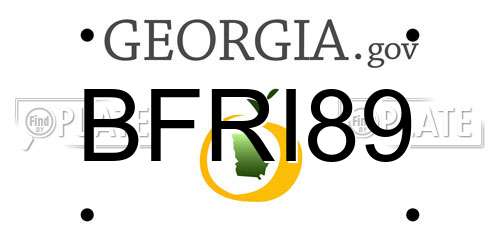 BFRI89 Georgia License Plate