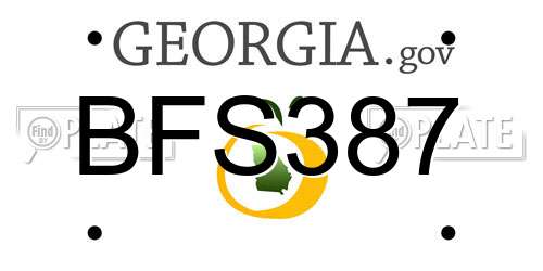 BFS387 Georgia License Plate
