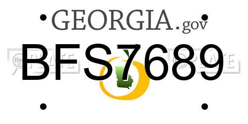 BFS7689 Georgia License Plate