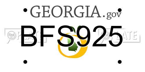 BFS925 Georgia License Plate