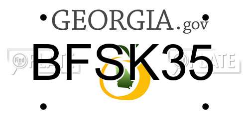 BFSK35 Georgia License Plate