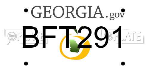 BFT291 Georgia License Plate