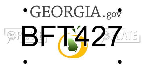 BFT427 Georgia License Plate