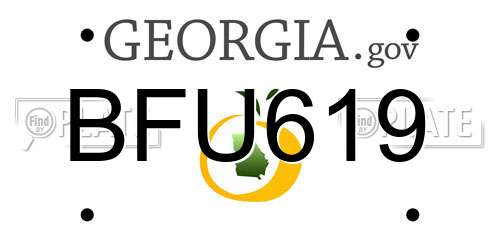 BFU619 Georgia License Plate