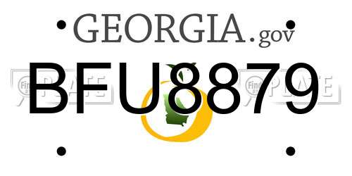 BFU8879 Georgia License Plate