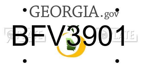 BFV3901 Georgia License Plate
