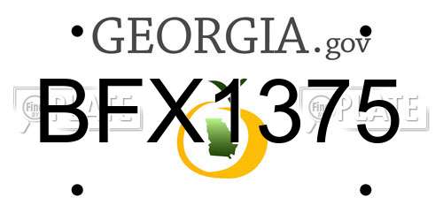 BFX1375 Georgia License Plate