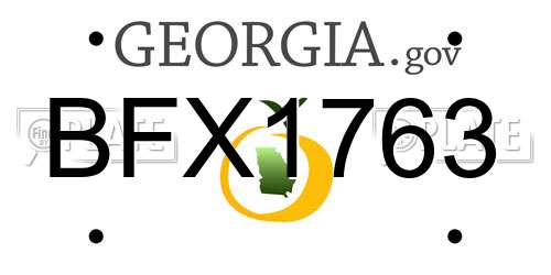BFX1763 Georgia License Plate