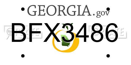 BFX3486 Georgia License Plate