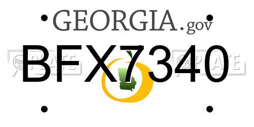 BFX7340 Georgia License Plate
