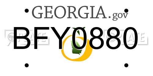 BFY0880 Georgia License Plate