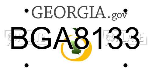 BGA8133 Georgia License Plate