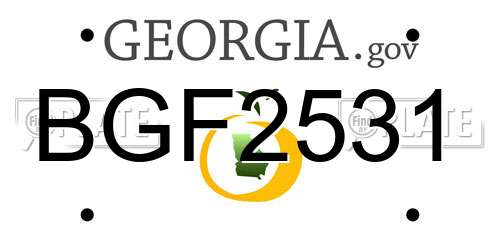 BGF2531 Georgia License Plate