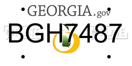 BGH7487 Georgia License Plate