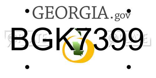 BGK7399 Georgia License Plate