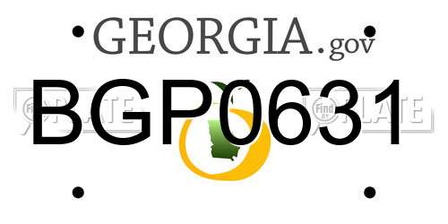 BGP0631 Georgia License Plate