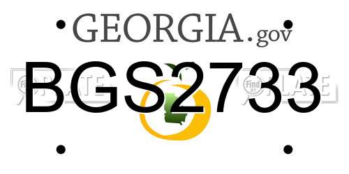 BGS2733 Georgia License Plate