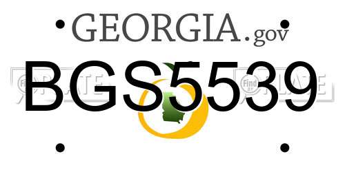 BGS5539 Georgia License Plate