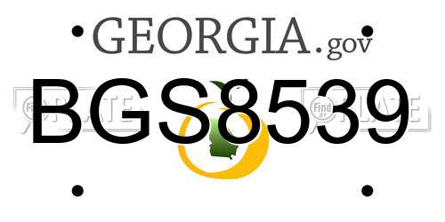 BGS8539 Georgia License Plate