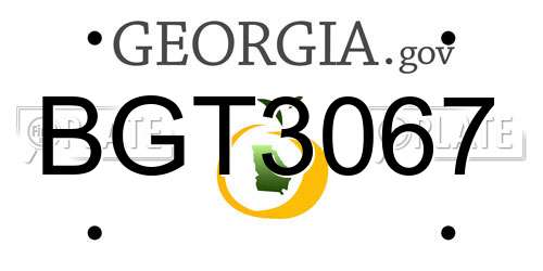 BGT3067 Georgia License Plate