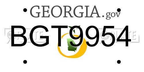 BGT9954 Georgia License Plate