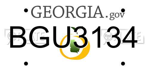 BGU3134 Georgia License Plate