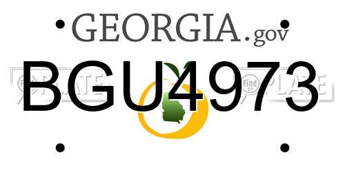 BGU4973 Georgia License Plate