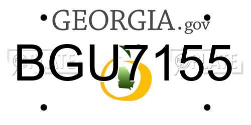 BGU7155 Georgia License Plate