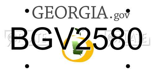 BGV2580 Georgia License Plate