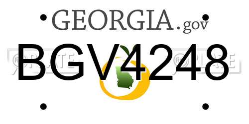 BGV4248 Georgia License Plate