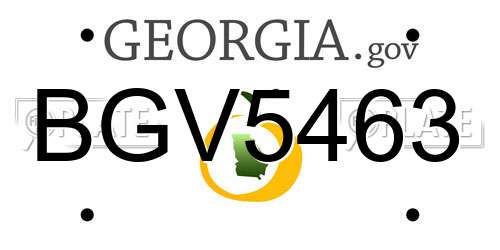 BGV5463 Georgia License Plate