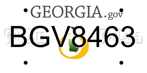 BGV8463 Georgia License Plate