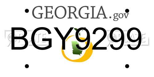 BGY9299 Georgia License Plate