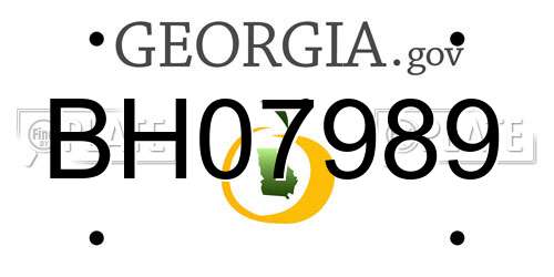 BH07989 Georgia License Plate