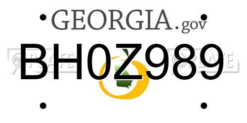 BH0Z989 Georgia License Plate