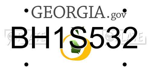 BH1S532 Georgia License Plate